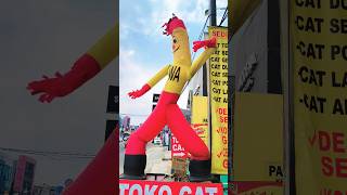 Download lagu Wawa Ulang Tahun 🎊 Berdansa Senang mp3