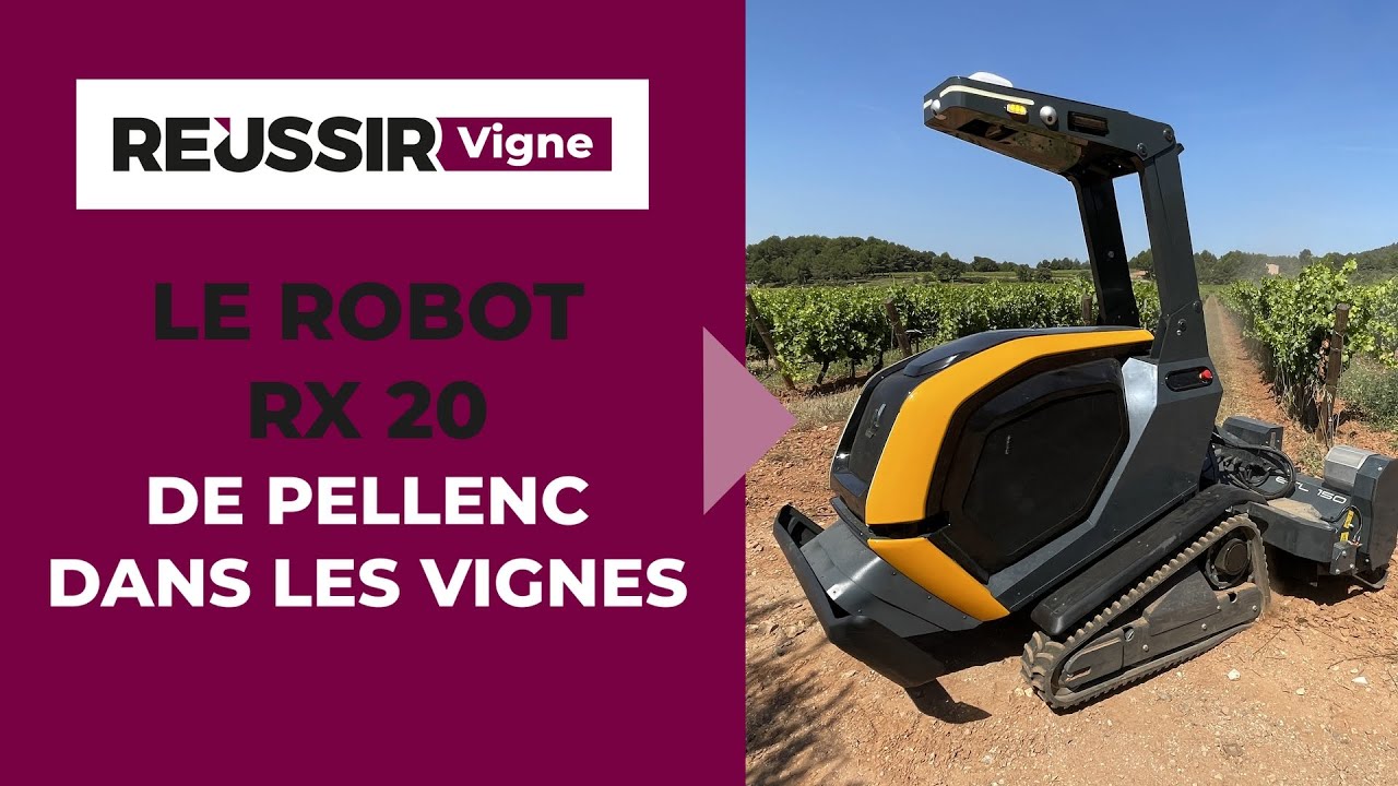 Le robot RX 20 de Pellenc à l'épreuve des vignes