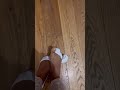 Toe Wiggling In White Socks