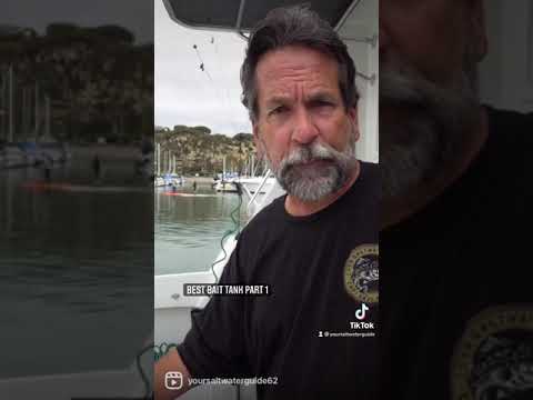 This is The Best Kind of Bait Tank for Your Boat - Ultimate Guide