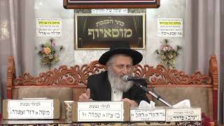 הרב אברהם מוסלי | הלכות סת"ם | מוסאיוף (בית הכנסת מוסאיוף - ערוץ חדש) - התמונה מוצגת ישירות מתוך אתר האינטרנט יוטיוב. זכויות היוצרים בתמונה שייכות ליוצרה. קישור קרדיט למקור התוכן נמצא בתוך דף הסרטון