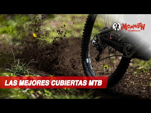 Cómo elegir cubiertas de MTB: Guía definitiva 2/2