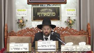 הרב שגיא אוחנה | הלכות ברכת הגומל | בית הכנסת מוסאיוף (בית הכנסת מוסאיוף) - התמונה מוצגת ישירות מתוך אתר האינטרנט יוטיוב. זכויות היוצרים בתמונה שייכות ליוצרה. קישור קרדיט למקור התוכן נמצא בתוך דף הסרטון הרב שגיא אוחנה | הלכות ברכת הגומל | בית הכנסת מוסאיוף (בית הכנסת מוסאיוף) - התמונה מוצגת ישירות מתוך אתר האינטרנט יוטיוב. זכויות היוצרים בתמונה שייכות ליוצרה. קישור קרדיט למקור התוכן נמצא בתוך דף הסרטון