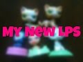 My New Lps LPS Valeria