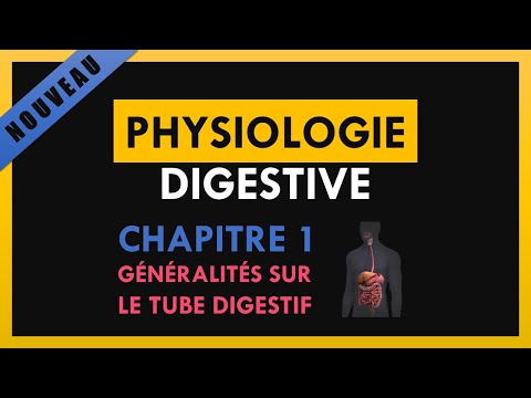 Physiologie Digestive - Chapitre 1 - Généralités sur le tube digestif