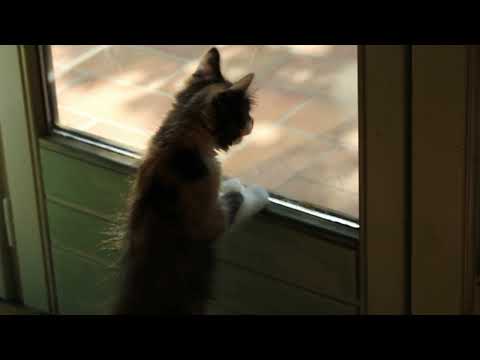 Rosalba Philomène 2019