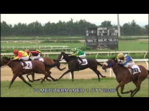Galoppo Corse del 1 Ottobre 2016