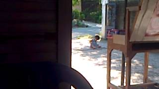 Download lagu LITA JR SIBUK BERMAIN TANAH mp3 Download lagu LITA JR SIBUK BERMAIN TANAH mp3