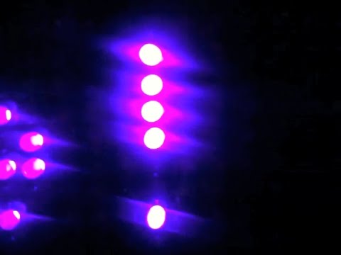 Folk you, Alfred Ladylike! (live at untertitel)