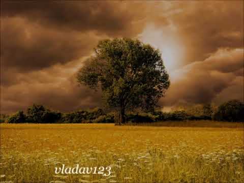 Angel Dimov - Tuginata pusta da ostane