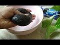 Oreo Swiss Roll Easy Recipe For A Show Stopping Dessert