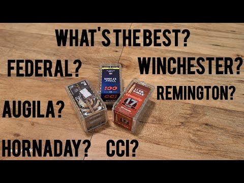 The BEST 17 HMR ammo???