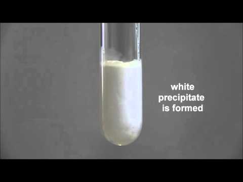 Test for Cation: Test for Lead (II) ion with Aqueous Ammonia