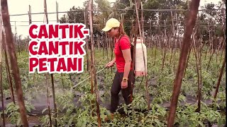Download lagu Cantik-cantik Petani, Banyak yang Menganggap Sebagai Pekerjaan Tidak Keren mp3 Download lagu Cantik-cantik Petani, Banyak yang Menganggap Sebagai Pekerjaan Tidak Keren mp3