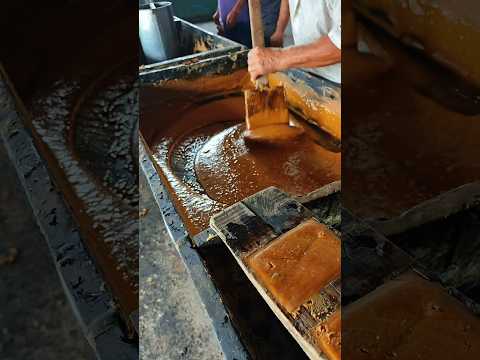 engenho de cana de açúcar - família pereira/bezerra - milagres ce