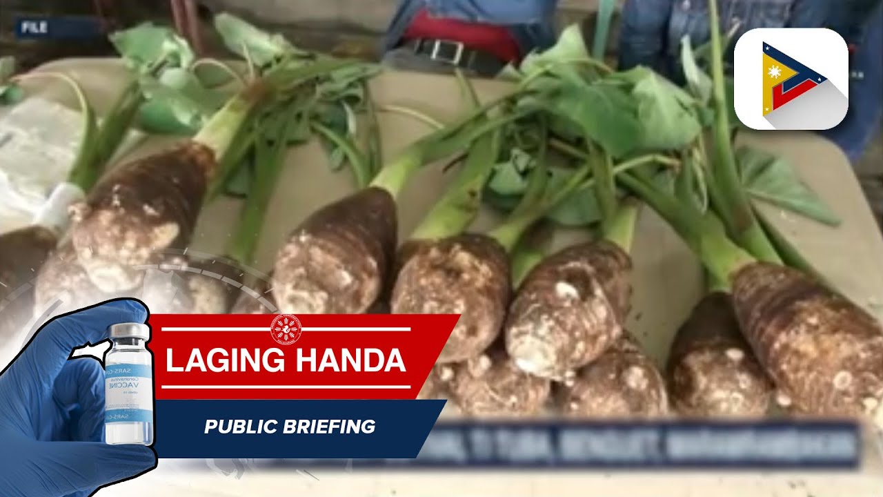 Inaabangan na 7th Ava Festival sa Tuba, Benguet, handa na