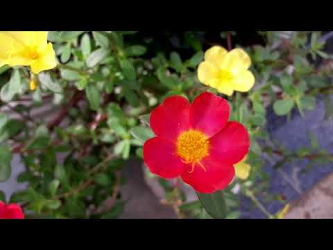 meditation music relax mind! deep relaxing your body!  #sunshine #wanderlust #escape#sky #peaceful