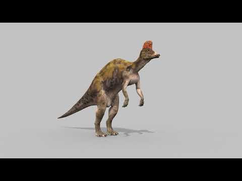 本物のアニメーションコリトサウルス HD 3Dモデル in Dinosaur 517165
