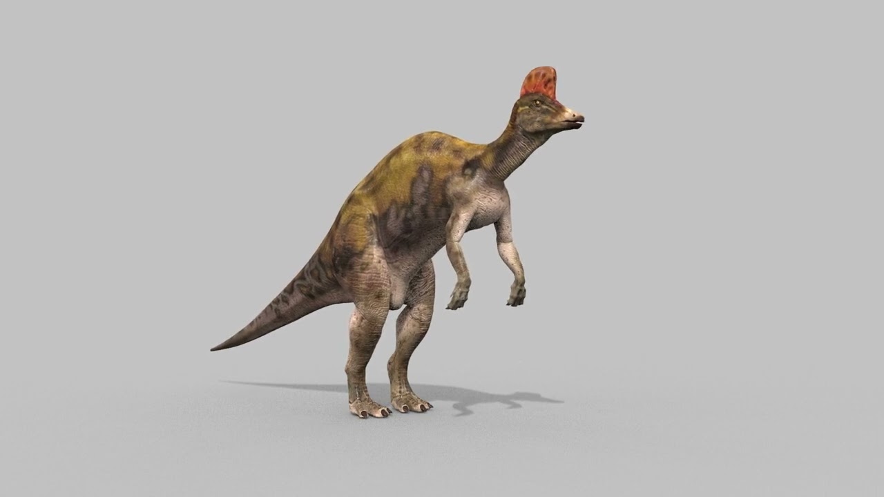 Real Animated Corythosaurus HD 3D Model
