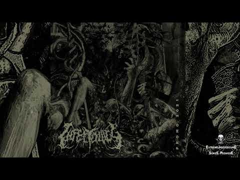 ▶ INFECTOLOGY - Uncontrolled Frenzy Through Exsanguination-☠(TRACK PREMIERE 2021)☠