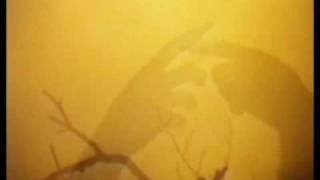 SOPOR AETERNUS: &quot;And Bringer of Sadness&quot; (clip)