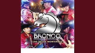 Dejame Amarte Otra Vez (Live)