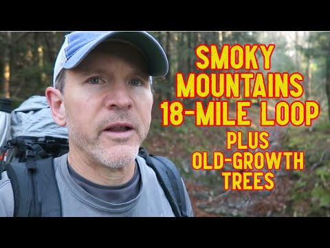 Solo Backpacking in the Smoky Mountains: Hiking to an Old-Growth Forest