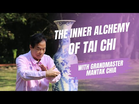 From martial art to moving meditation. Tai Chi Qigong with legendary Taoist Master Mantak Chia