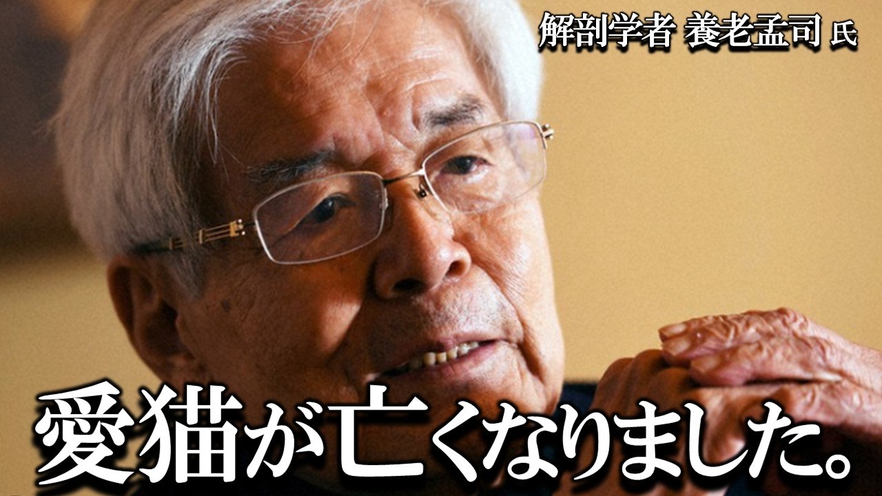 【養老孟司】愛猫が亡くなりました。