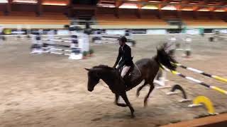 Video of Corydon van T&L