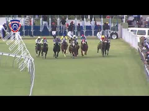 RM2 R1 - Majestic Moon | Aucharuz