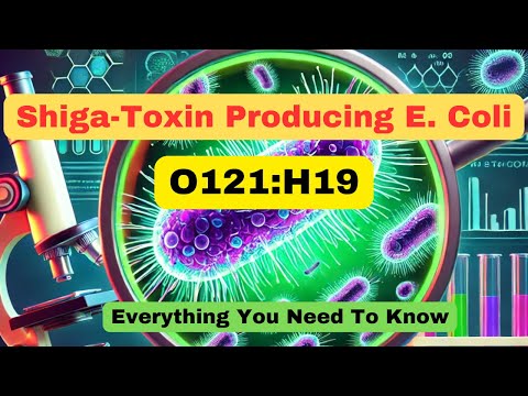 Shiga toxin producing E. coli (STEC) | E. coli O121:H19 Outbreak