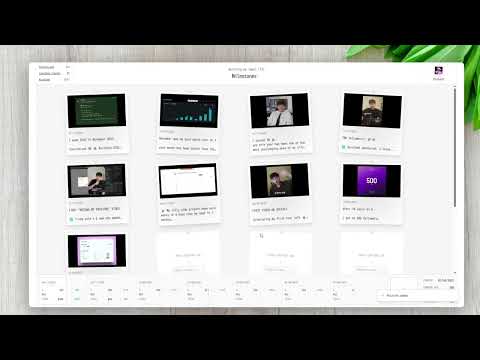 MileSnap video preview