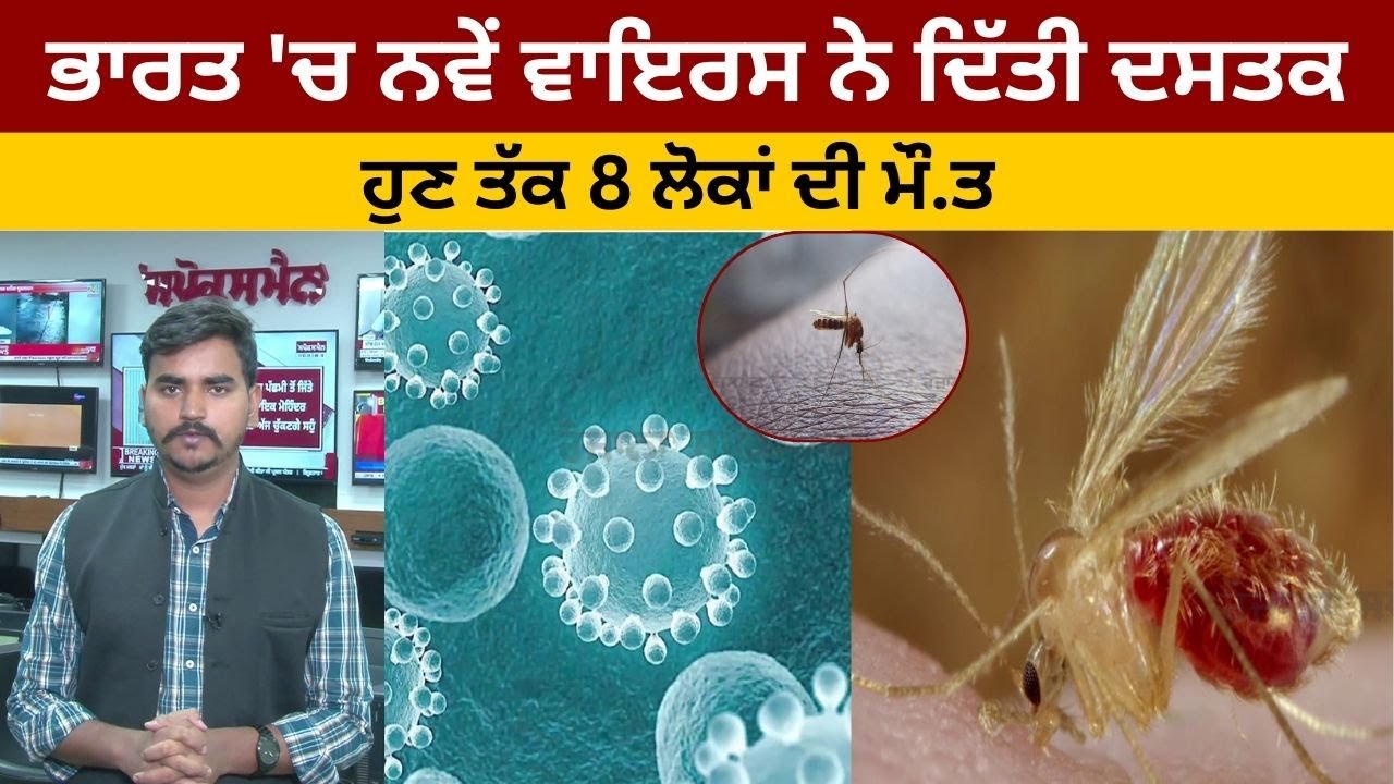 Big Breaking: ਭਾਰਤ 'ਚ ਨਵੇਂ ਵਾਇਰਸ ਨੇ ਦਿੱਤੀ ਦਸਤਕ, ਹੁਣ ਤੱਕ 8 ਲੋਕਾਂ ਦੀ ਮੌ.ਤ, ਦਿਮਾਗ ਤੇ ਕਰਦੀ ਹੈ ਵੱਡਾ ਅਸਰ Big Breaking: ਭਾਰਤ 'ਚ ਨਵੇਂ ਵਾਇਰਸ ਨੇ ਦਿੱਤੀ ਦਸਤਕ, ਹੁਣ ਤੱਕ 8 ਲੋਕਾਂ ਦੀ ਮੌ.ਤ, ਦਿਮਾਗ ਤੇ ਕਰਦੀ ਹੈ ਵੱਡਾ ਅਸਰ