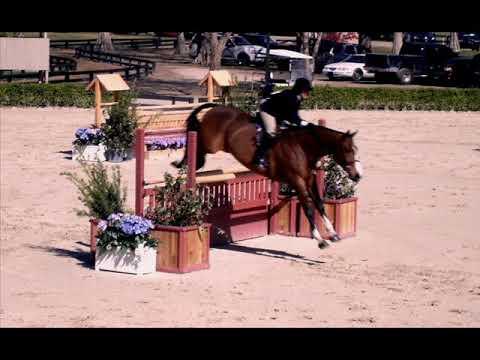 Black Forest Ensemble "The Bells of The Horses"  Martin G. Selbrede Composer