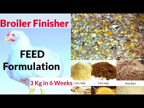How to make quality broiler finisher feed  (Quality broiler finisher feed formulation)