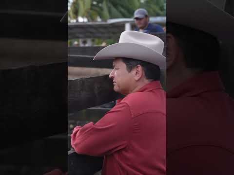 ¡RENACIMIENTO MAYA CUMPLE! IMPULSAN AL CAMPO EN TIZIMÍN