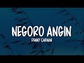 DENNY CAKNAN NEGORO ANGIN LIRIK LAGU Iseh Kebayang Bayang