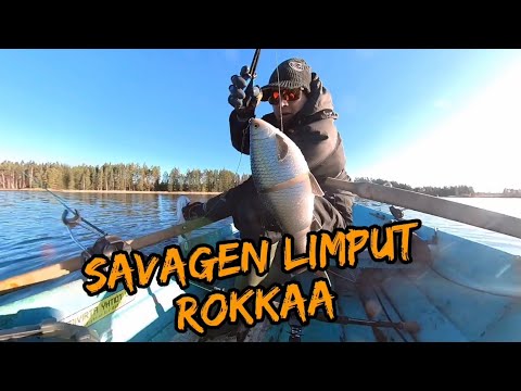 Savage Gearin LineThru Roachit saa hauilta kyytiä.