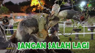 Download lagu HAL TERPENTING DALAM PERSIAPAN KONTES mp3 Download lagu HAL TERPENTING DALAM PERSIAPAN KONTES mp3