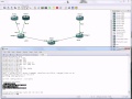 Transparent Bridging 
