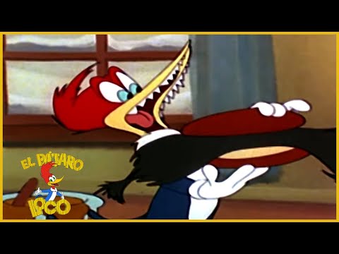 download lagu mp3 mp4 Pajaro Loco Antiguo, download lagu Pajaro Loco Antiguo gratis, unduh video klip Pajaro Loco Antiguo