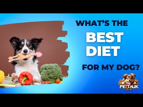 What’s the best diet for my dog??? #pettalk #doglover #dogfood