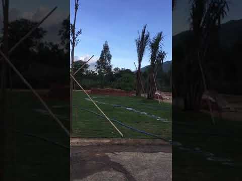 Bán đất gần trung tâm chợ trường học Châu Pha,sổ hồng riêng,giá 1tr9/m2