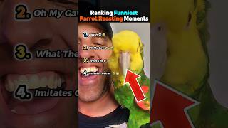 Ranking Funniest Parrots Roasting Owners Moments 😂 #usa