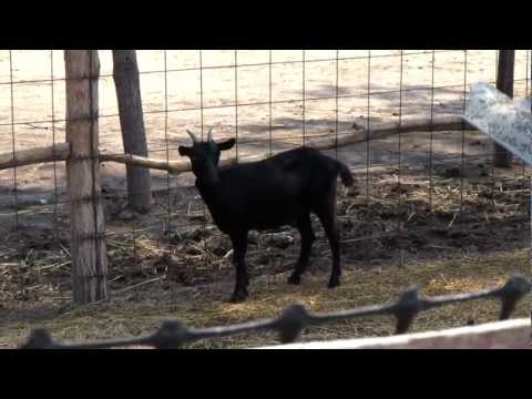LMBTQ tábor | LGBTQ Camp | Meleg szemmel 76.