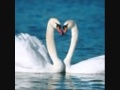 Y FUIMOS DOS BY RAPHAEL.wmv 