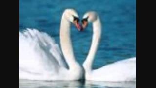 Y FUIMOS DOS BY RAPHAEL.wmv