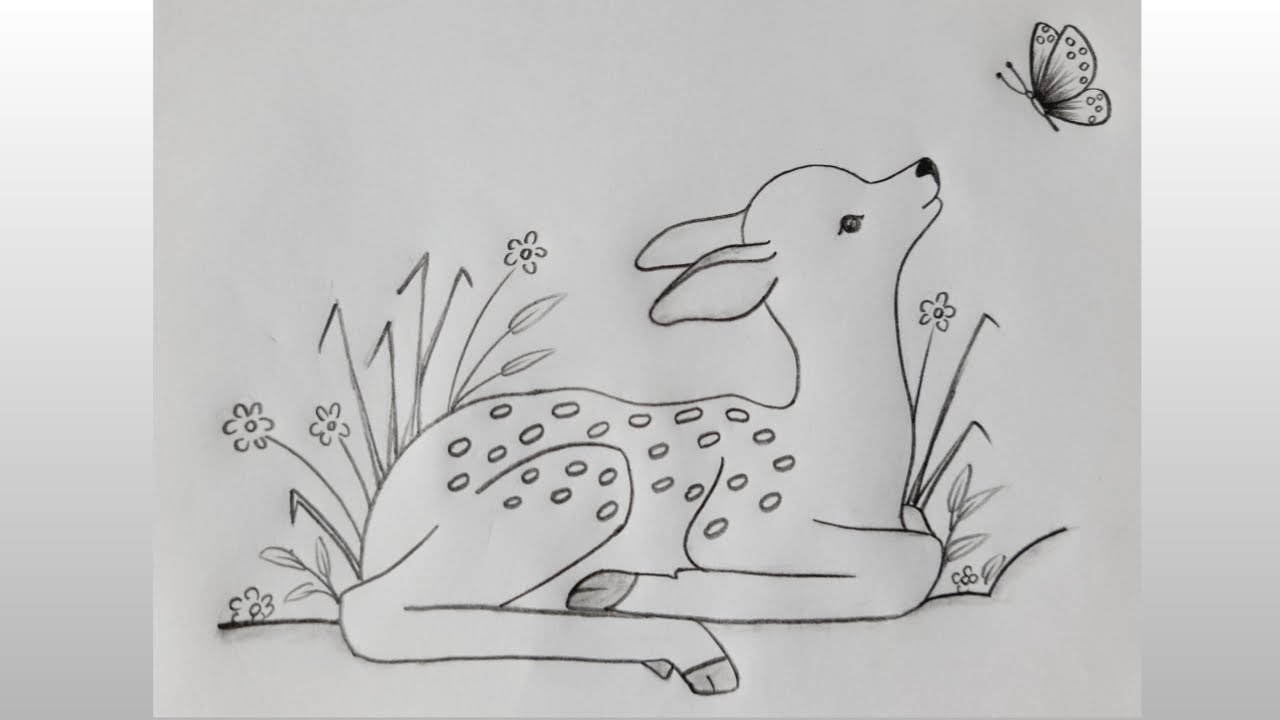 How to draw deer easy steps.Beautiful deer drawing step by step.