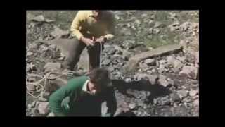 Can -Turtles Have Short Legs